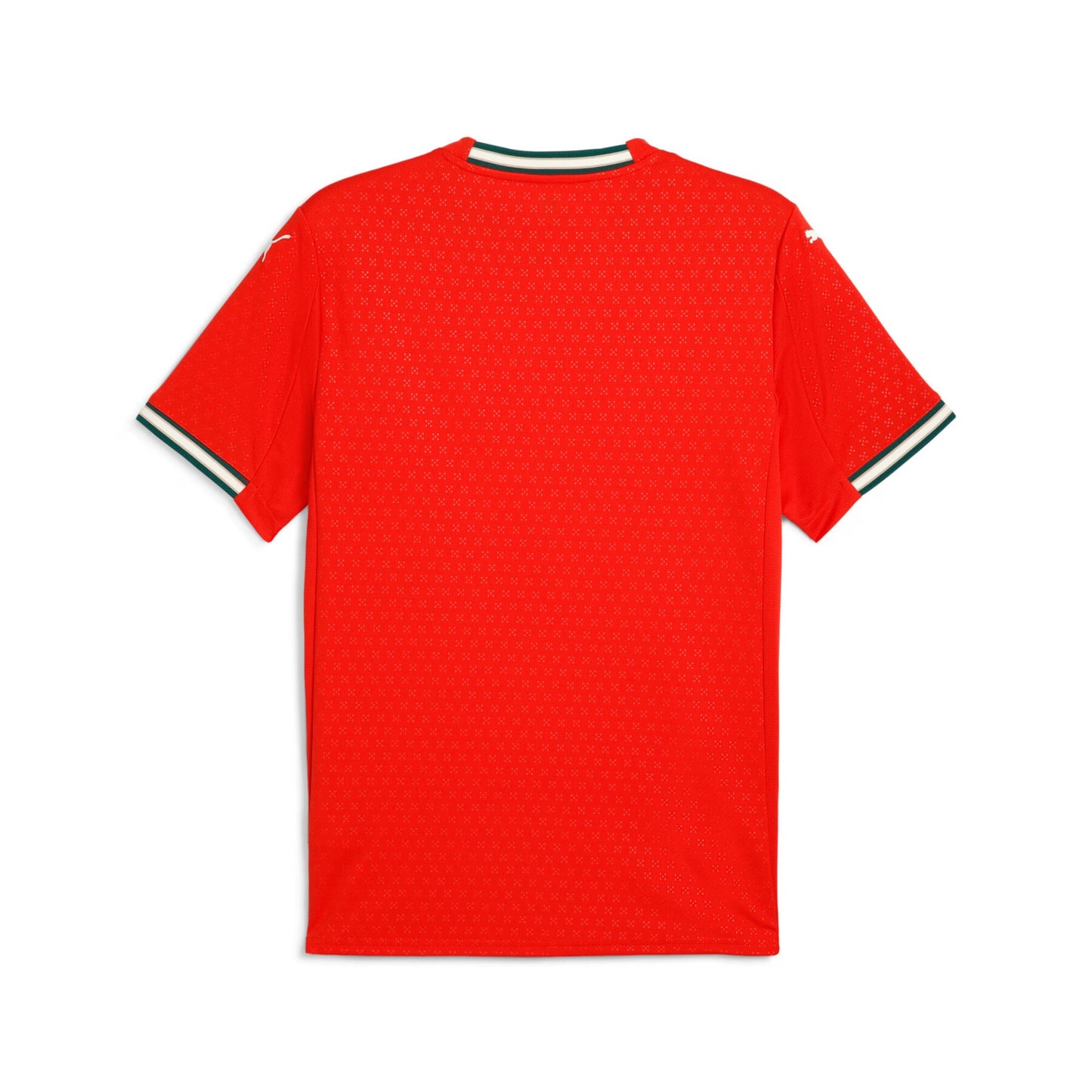 MAILLOT Domicile Portugal