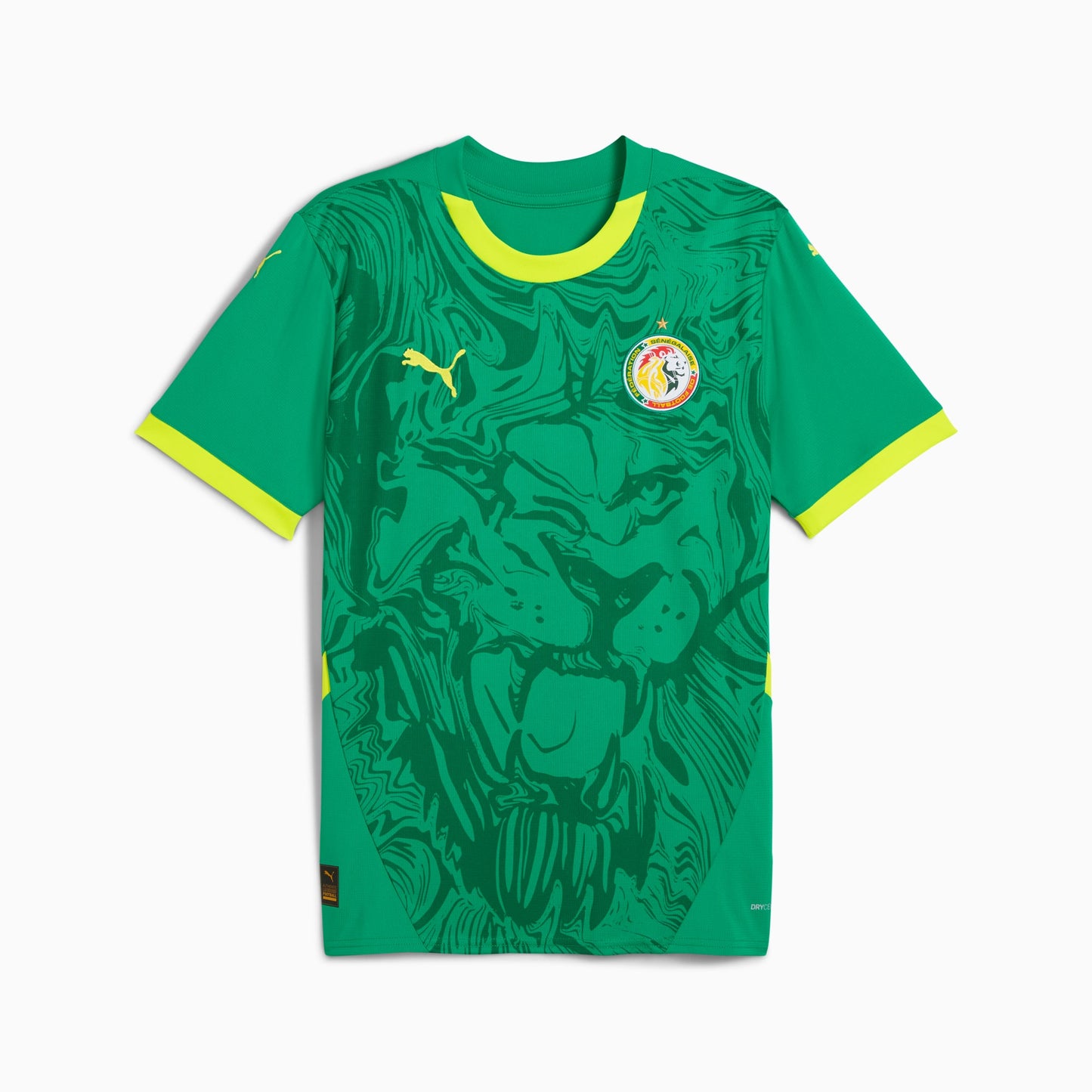 MAILLOT Extérieur Senegal